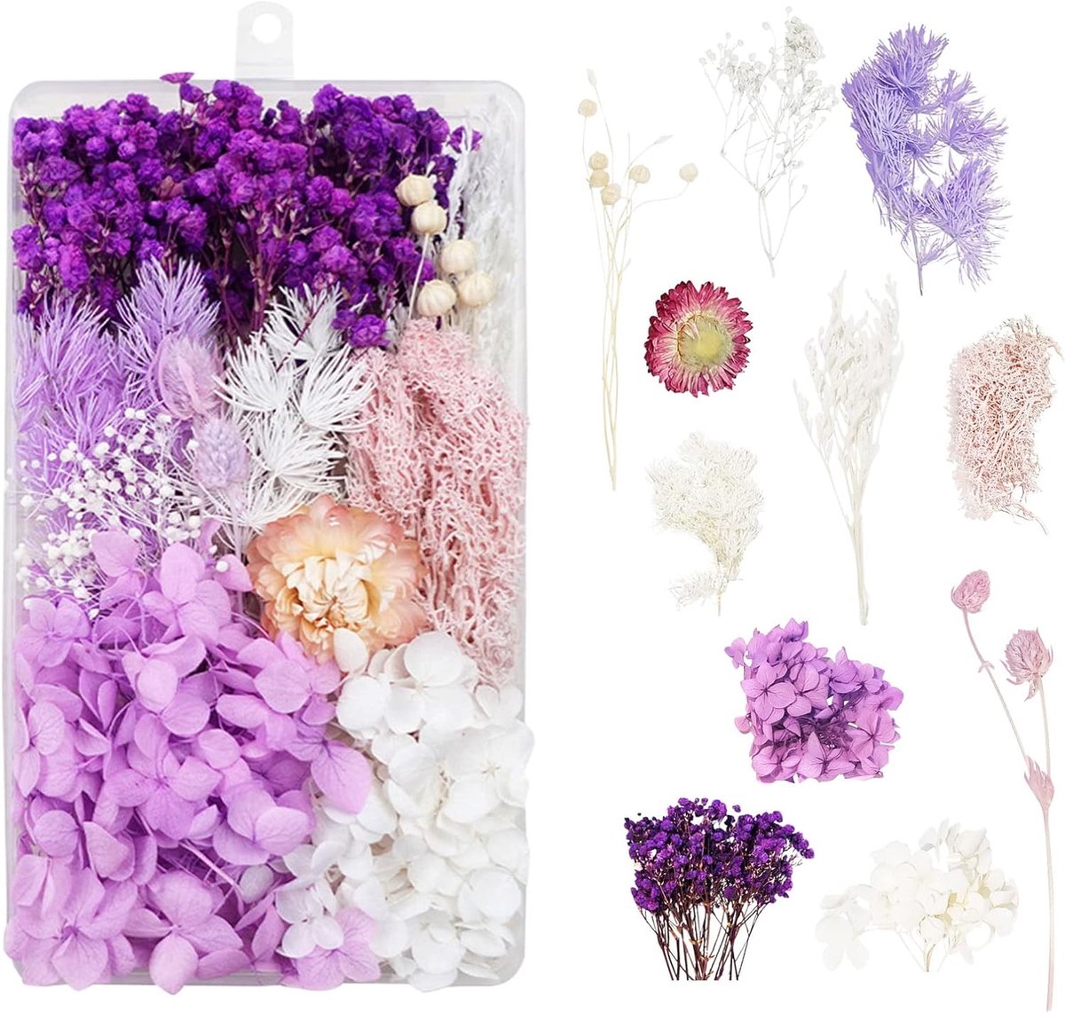 SnelShoppen - Natuurlijke gedroogde bloemen voor resin, decoratie, knutselen, sieraden, kaarsen, nagelkunst, scrapbooking - 100g kleurrijke bloemen en