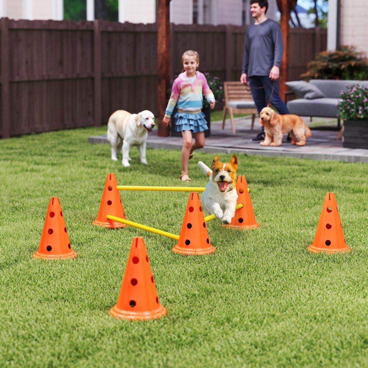 COVREO Honden agility set 80x22,5x30 cm - 3 horden, verstelbare hoogte, ABS, oranje