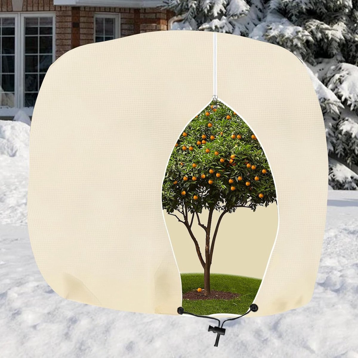 Winterbescherming voor planten, bescherming van oleanders, palmen en kuipplanten in beige (250 × 360 cm)