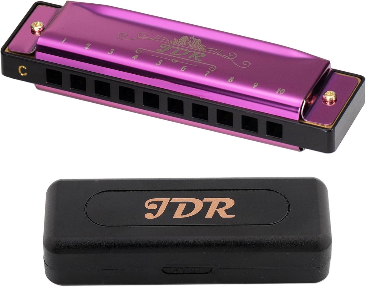 SnelShoppen - Harmonica Blues C Toets 10 Holes 20 Toon RVS Diatonische Mondharmonica met Pouch voor Beginners en Professionals - Zwart (Paars) voor Fe