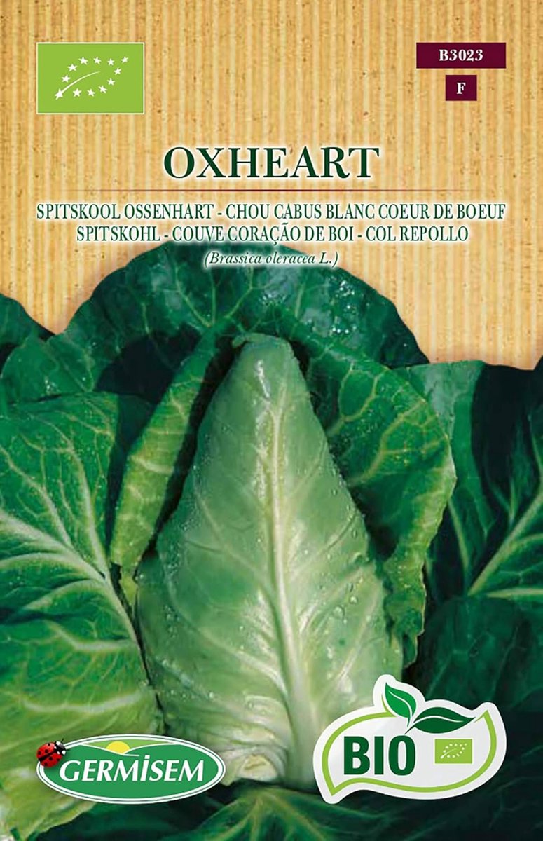 SnelShoppen - Biologische Oxheart Koolzaad 2g - Donkergroen, Productieve Puntige Kool, Geschikt voor Tuin, Moestuin en Biologische Teelt