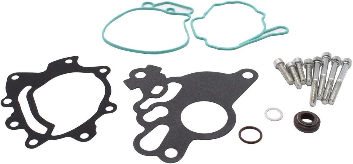 Reparatiekit voor Brandstof Vacuüm Tandem Pomp Geschikt voor VW Golf Plus 2.0 TDI 16V 2005-2013, Betrouwbare Onderdeelvervanging en Hoogwaardige Kwaliteit