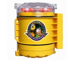 Gallagher® Foxlight LED Wildverjager – Automatische Vossenverjager – Beschermt Kippen, Schapen en Kleinvee