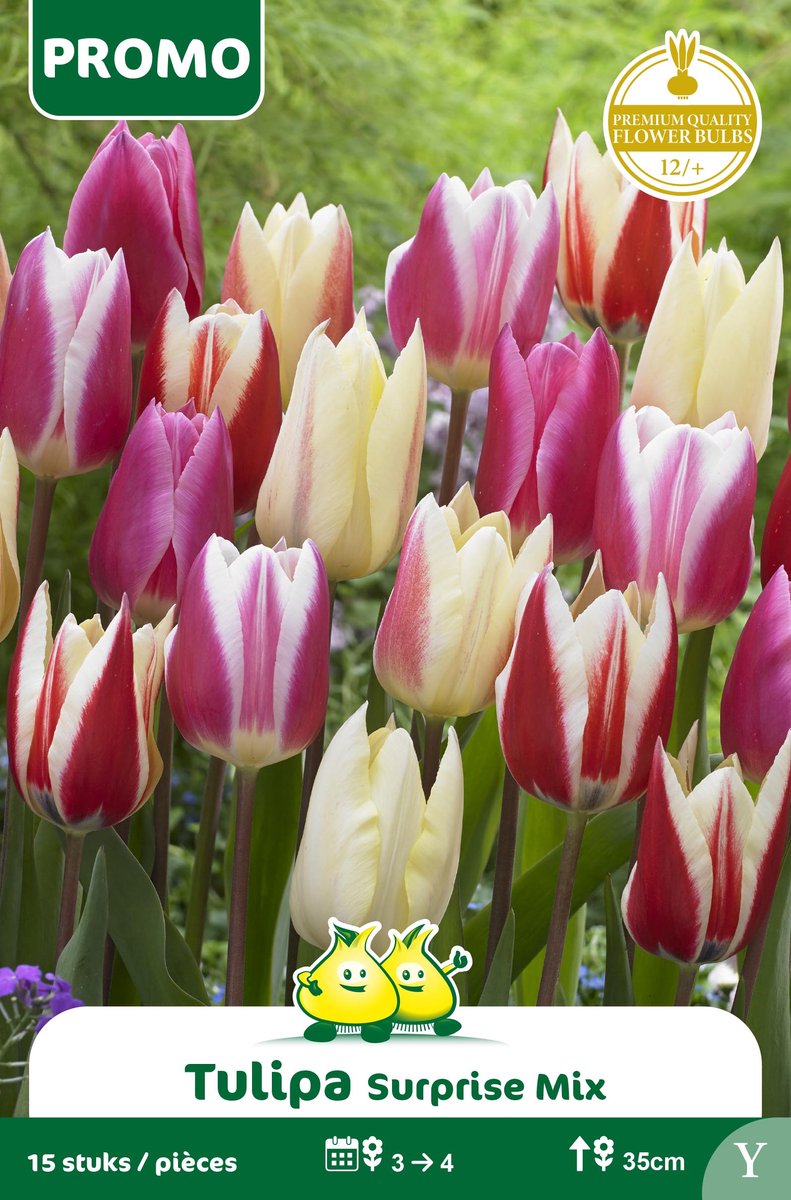 1 Zakje Promoverpakking Tulp Surprise Mix 15 stuks maat 14/+