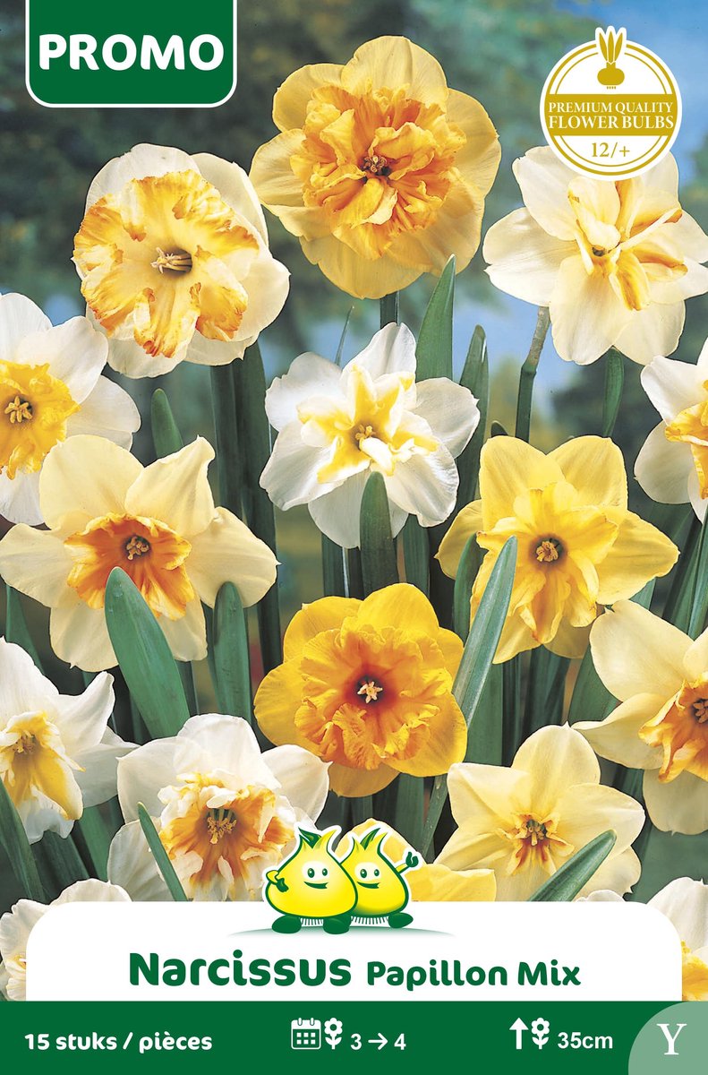 1 Zakje Promoverpaking Narcis Papillion Mix 15 stuks maat 12/+