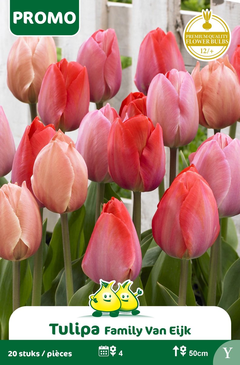 1 Zakje Promoverpakking Tulp Family Van Eijk 20stuks maat 14/+