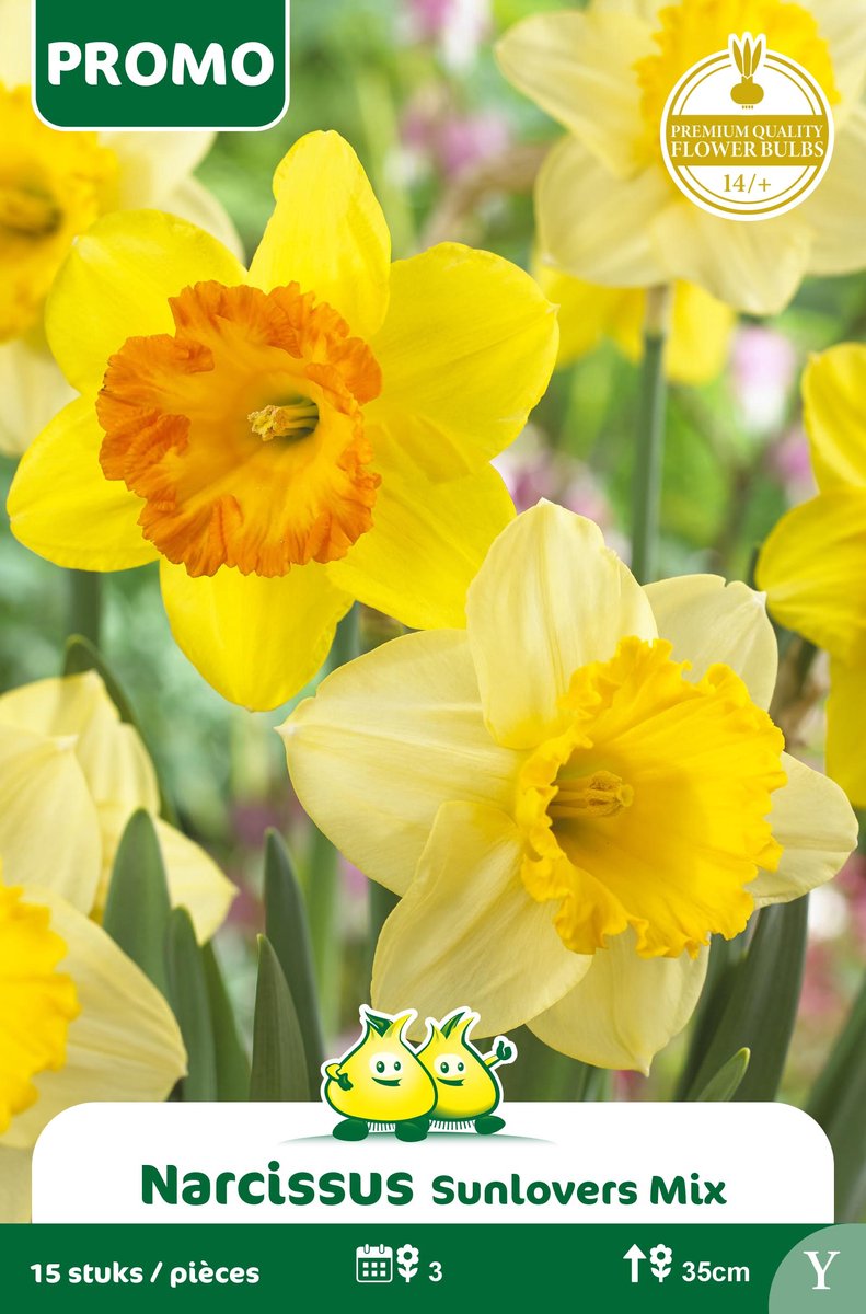 1 Zakje Promoverpakking Narcis Sunlover Mix stuks maat 14/+