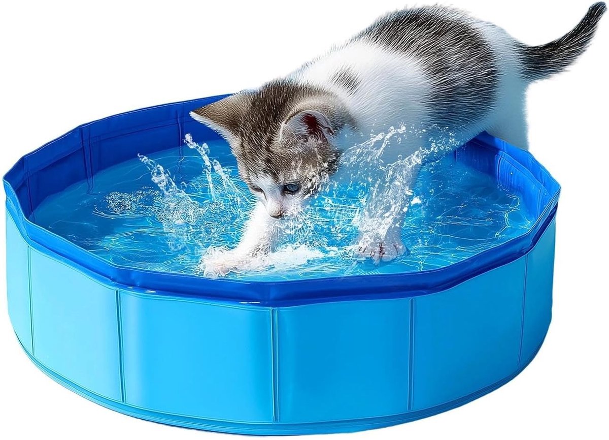 Kattenzwembad - Blauw - Opvouwbaar en Ruimtebesparend - Hoogwaardig PVC - Voor Katten en Kleine Honden