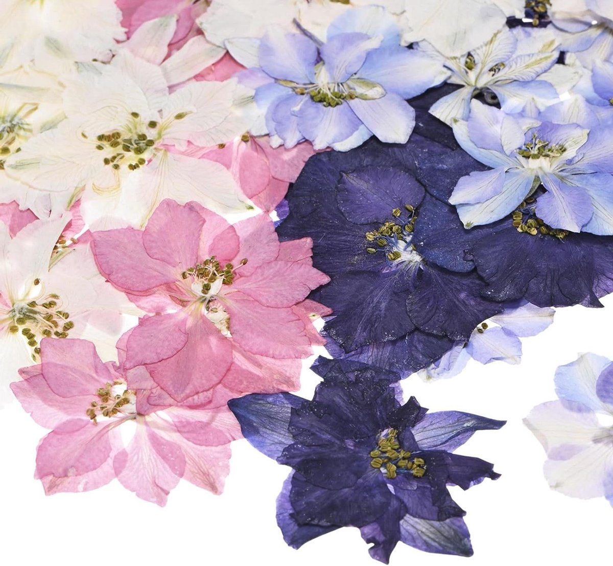 Gedroogde Geperste Bloemen - Natuurlijke Droogbloemen Knutselen - Hars Handwerk Maken - Echte Natuurlijke Bloemen - 48 Stuks - Veelkleurig