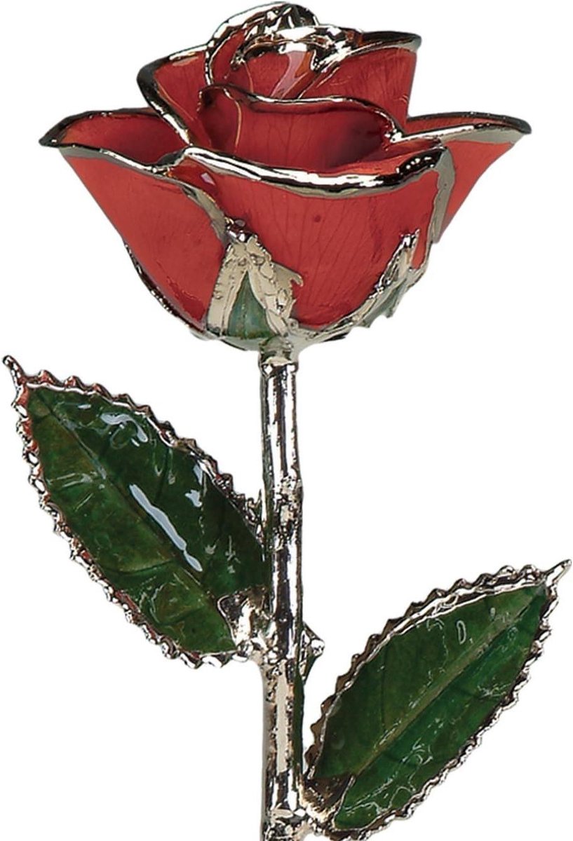 Echte Roos - Gedecoreerde Bloem - Cadeau Geven - Handgemaakt Uniek - 30 cm - Rood
