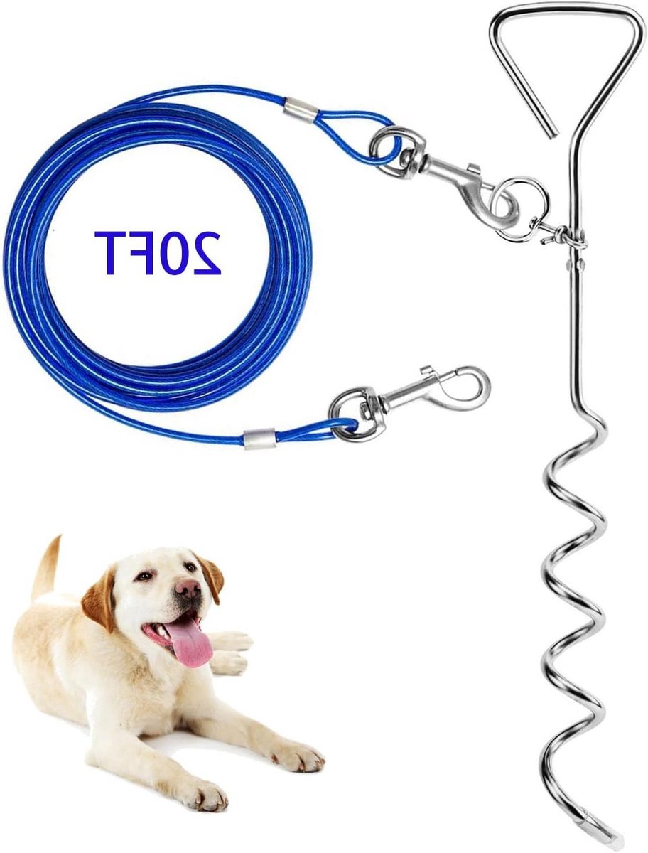 Honden aanlijnlijn - Buitenlijn Ketting - Veilig Buiten - Zware Spiraal - 6 Meter - Blauw
