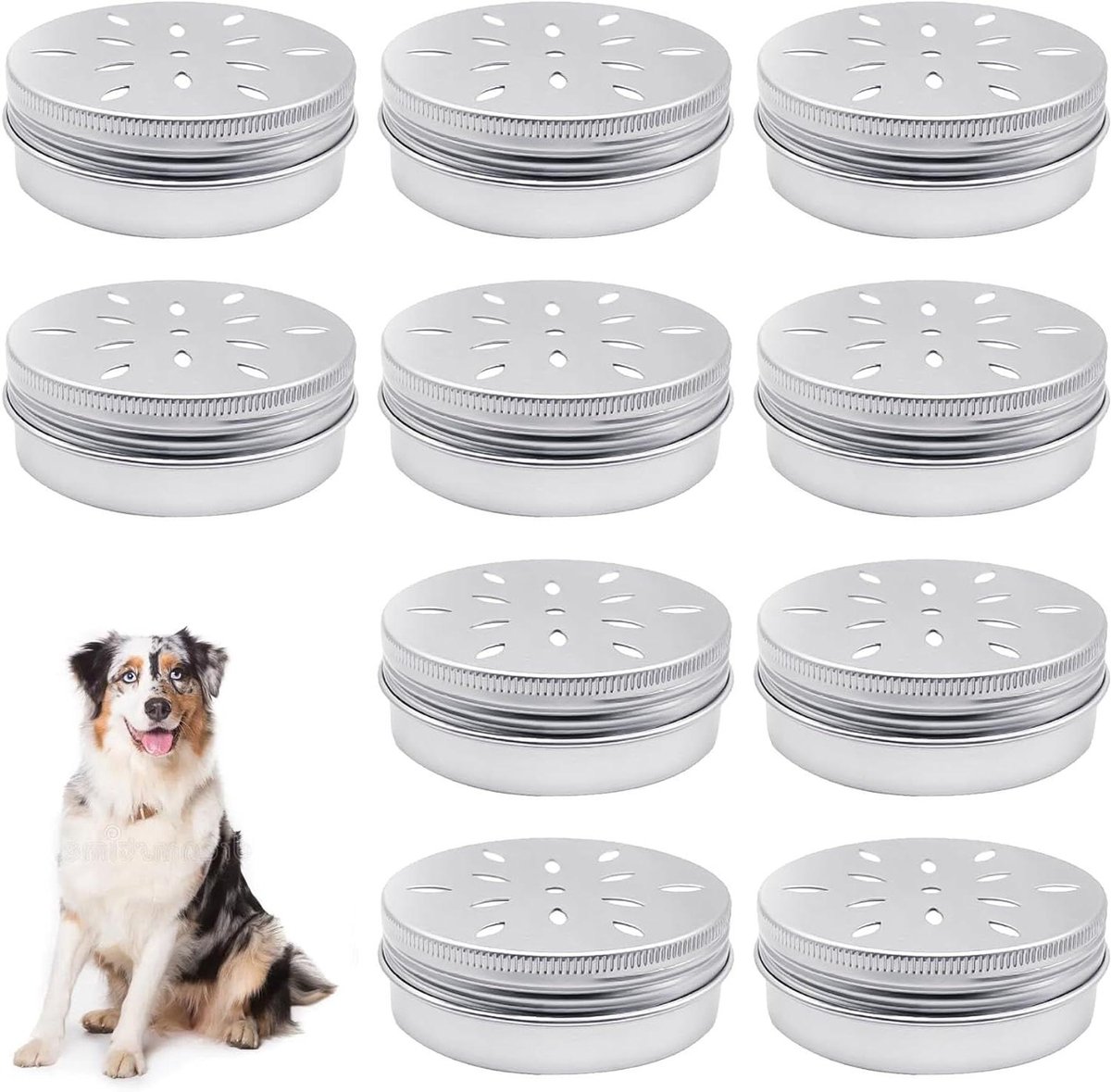 Hondengeurdozen - Trainingsboxen - Geurtraining Honden - Magnetische Bevestiging - 10 Stuks - Metaal