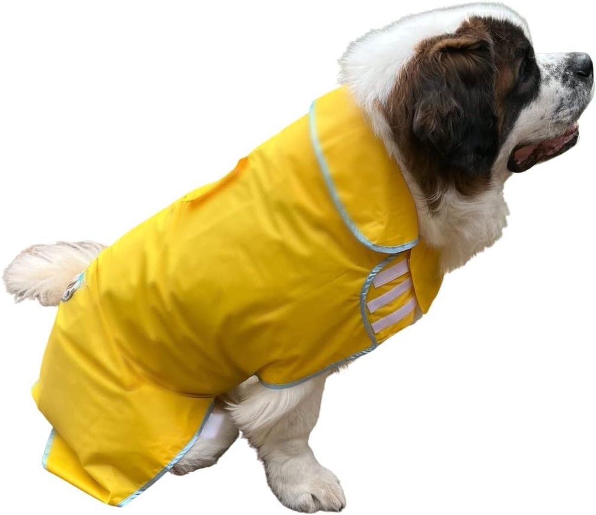 Hondenregenjas XL - Waterdichte Hondenkleding - Droog Blijven - Ademend Materiaal - Extra Groot - Blauw