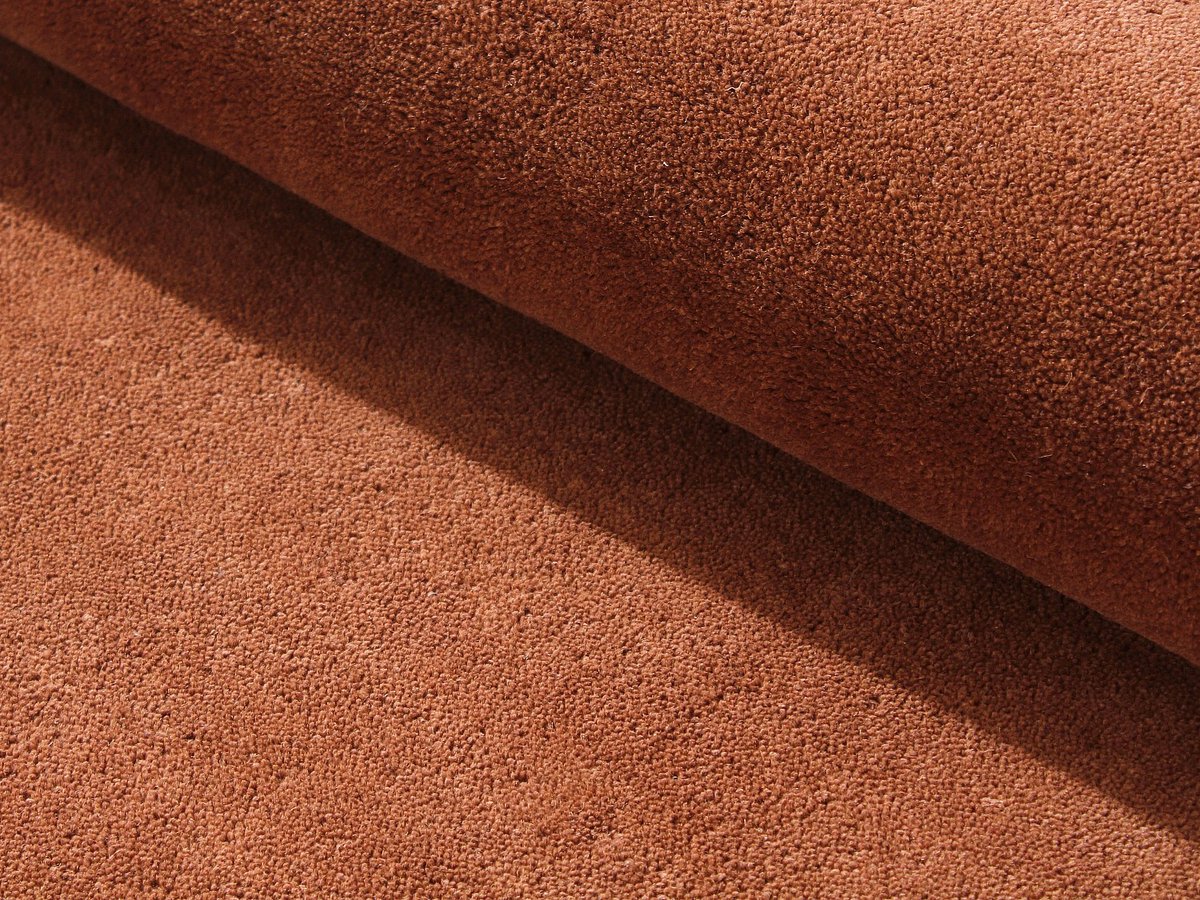 Vente-unique Vloerkleed 100% wol handgeweven - 200 x 290 - Terracotta - 1800g/m² - SELINA