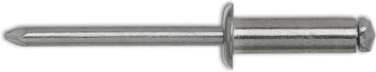Blinde Klinknagels - Aluminium Staal - Bevestigen Materialen - Bouwkundige Toelating - 48 x 12 mm - Grijs