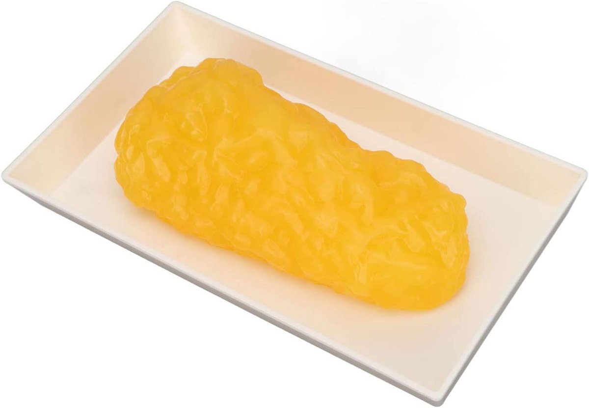 Vetreplica Model - Vet Model - Gewichtsverlies Motiveren - Realistische Textuur - 05 kg - Wit
