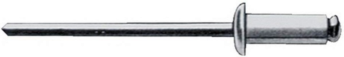 Blinde Klinknagels - Klinknagels Staal - Bevestigen Metalen - Zeer Sterke Klinknagels - 5 x 8 mm - Zilver