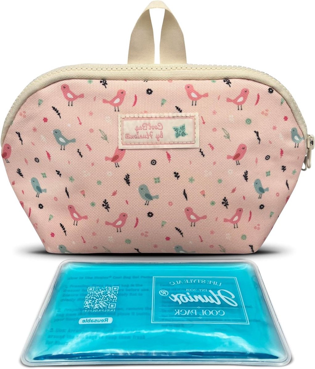 Koeltas - Lunchtas Thermos - Snacks Meenemen - Houdt 4 uur koel - 3 Liter - Blauw