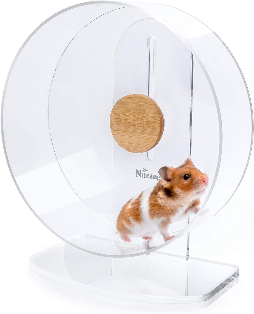 Loopwiel Hamster - Rondloopwiel Dier - Dieren Beweging - Stil Dubbel Lager - 27 cm Diameter - Transparant