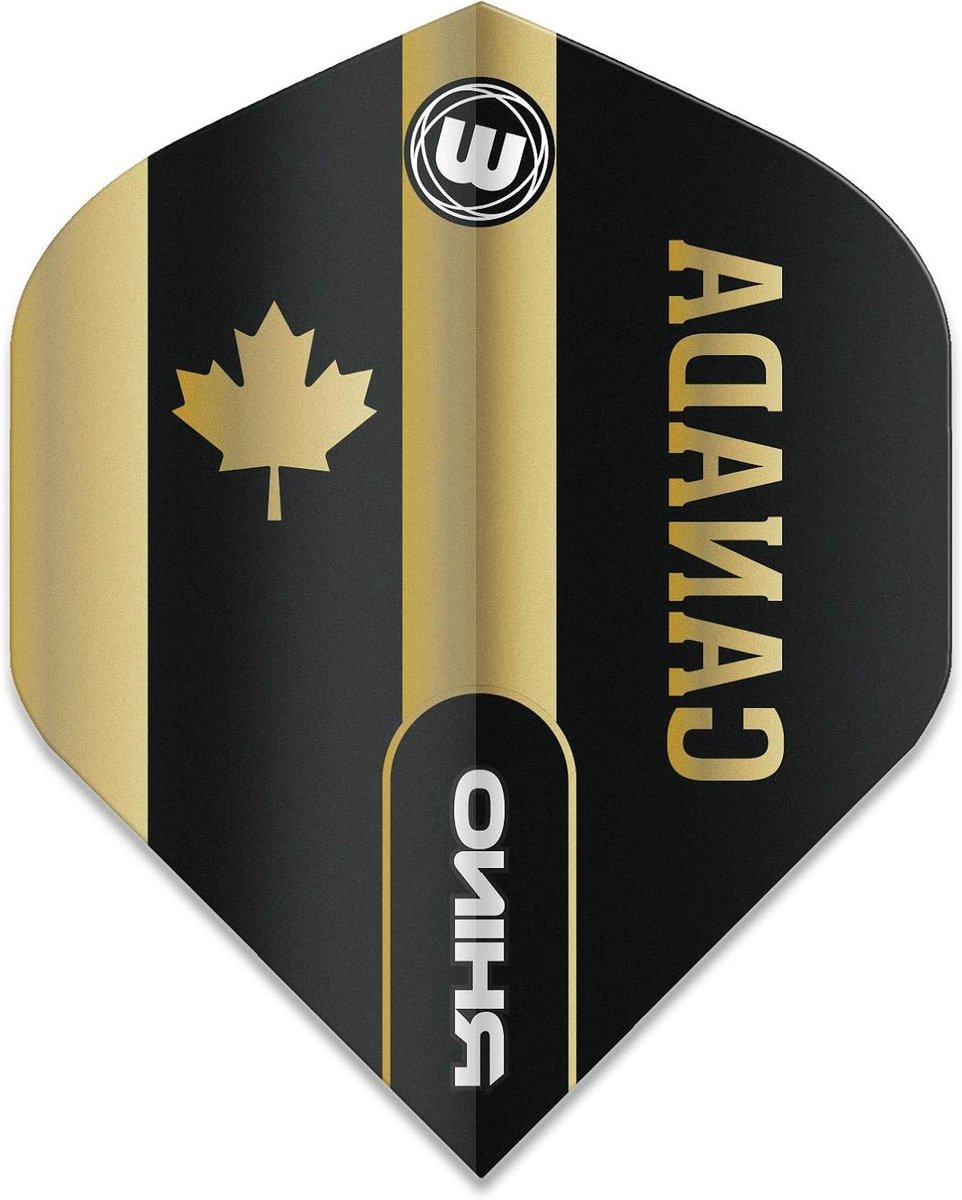 Dart Flights - Vliegjes - Darts Spelen - Extra Dik Poly - 100 Micron - Zwart Goud