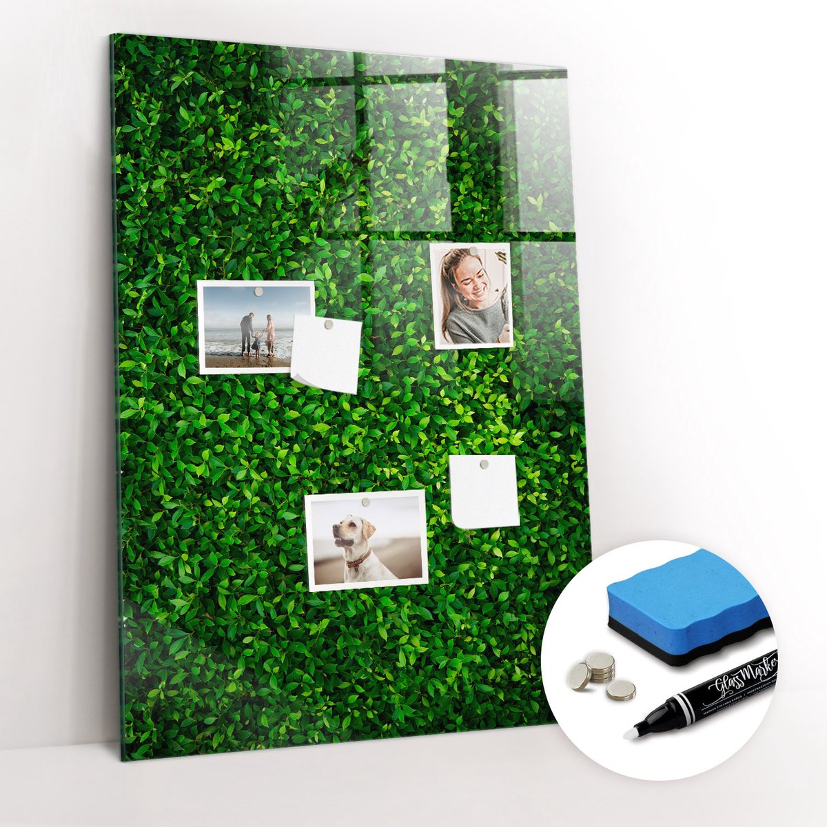 Tulup Whitebord - bladeren van de schuttingplant - 70 x 100 cm - Groente Magnetisch Bord - Gratis 5 Sterke Magneten + Whiteboard Marker & Wisser - Scandinavisch Design Bord - Magneetbord Design - Organiseer Je Bureau