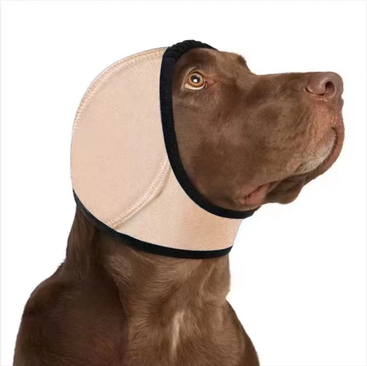 Oorbeschermer Hond - Honden Oorkappen - Hondenhoofdbedekking - Geluidsdemping - Rustgevende Hoofdband - Hondenoorbeschermer - Oorkappen Voor Honden - Maat L - Geschikt Voor Onweersbuien of Lawaaierige Feesten - Lichtbruin