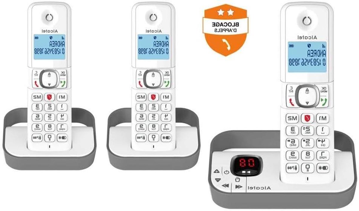 DECT Telefoon - Draadloze Telefoon - Ongewenste Oproepen Blokkeren - Met Antwoordapparaat - Trio Set - Grijs