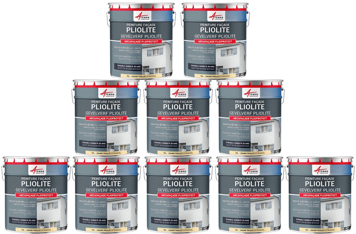 Plioliet Verf - ARCAFAÇADE PLIOPROTECT