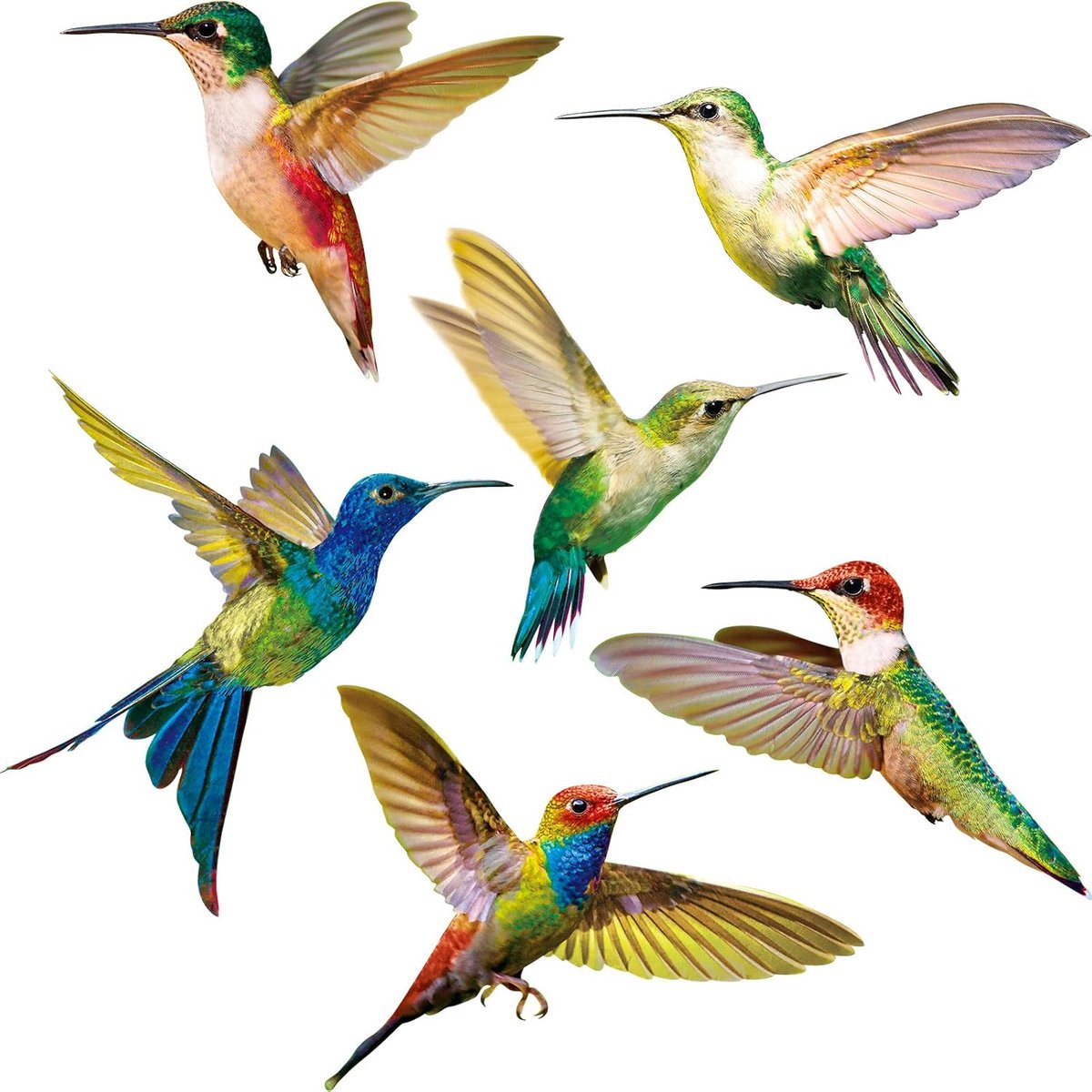 Decals Venster Antibotsing Decals Venste Volhouder om Vogelaanvaringen op Het Raam te Voorkomen Niet-Klevende Vinylfolie Kolibrie Stickers (6 Stuks)