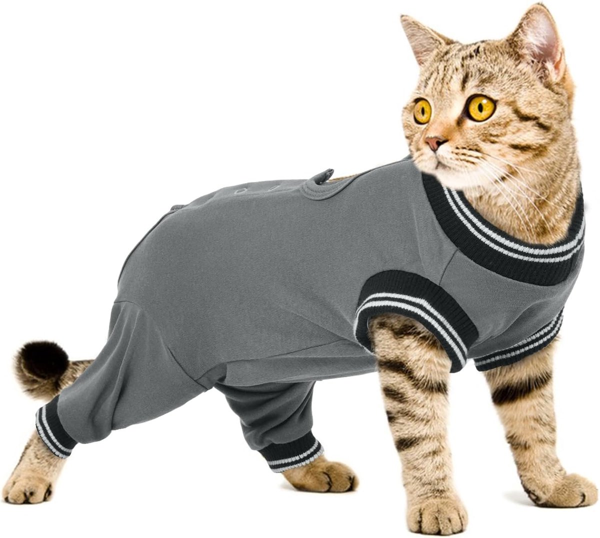 kat, op lichaam, castratie, hond, katten, operatie, reude, postoperatieve kleding voor katten (grijs, L)