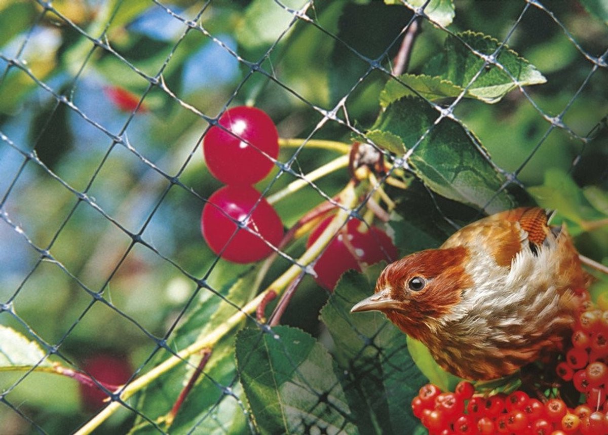 Omgoods - Vogelbeschermnet M 4 x 10 m