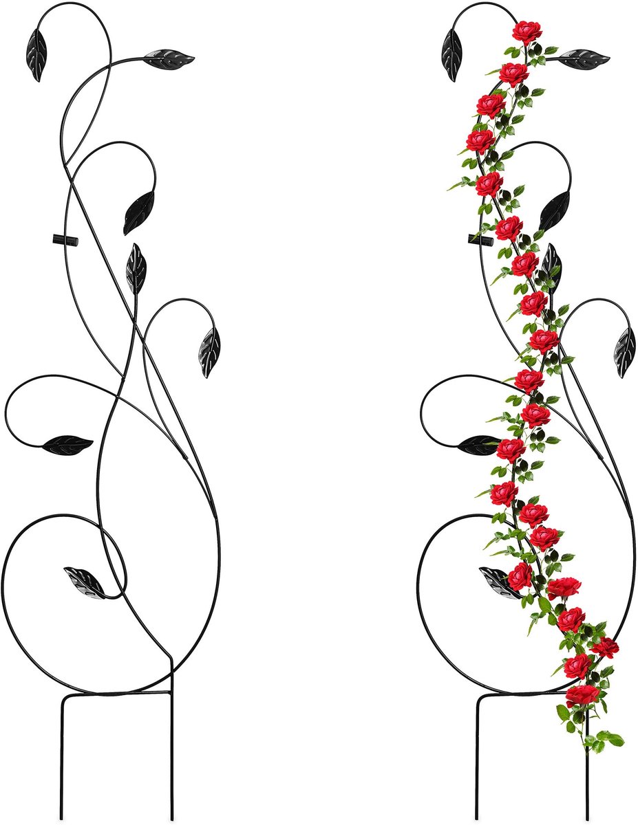 Omgoods - Set van 2 Klimplanten Steunen van Metaal
