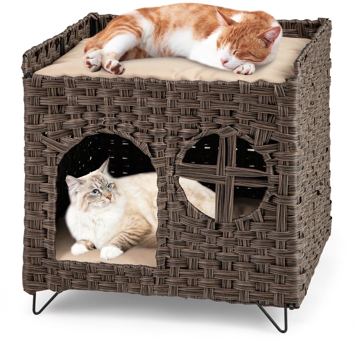 Kattenhuis - Voor buiten - Hok - Kooi - Bench - Ren - 1 verdieping - duurzaam - Naturel