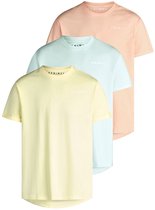 DENIMFY Heren T-Shirt DFDiego 3 Pack Set regular fit Veelkleurig 3XL Ronde Hals Volwassenen gemaakt van 100% katoen