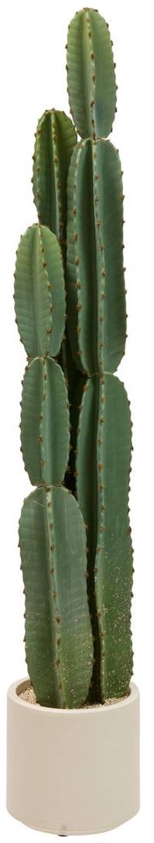 Kunstplant cactus SIEN