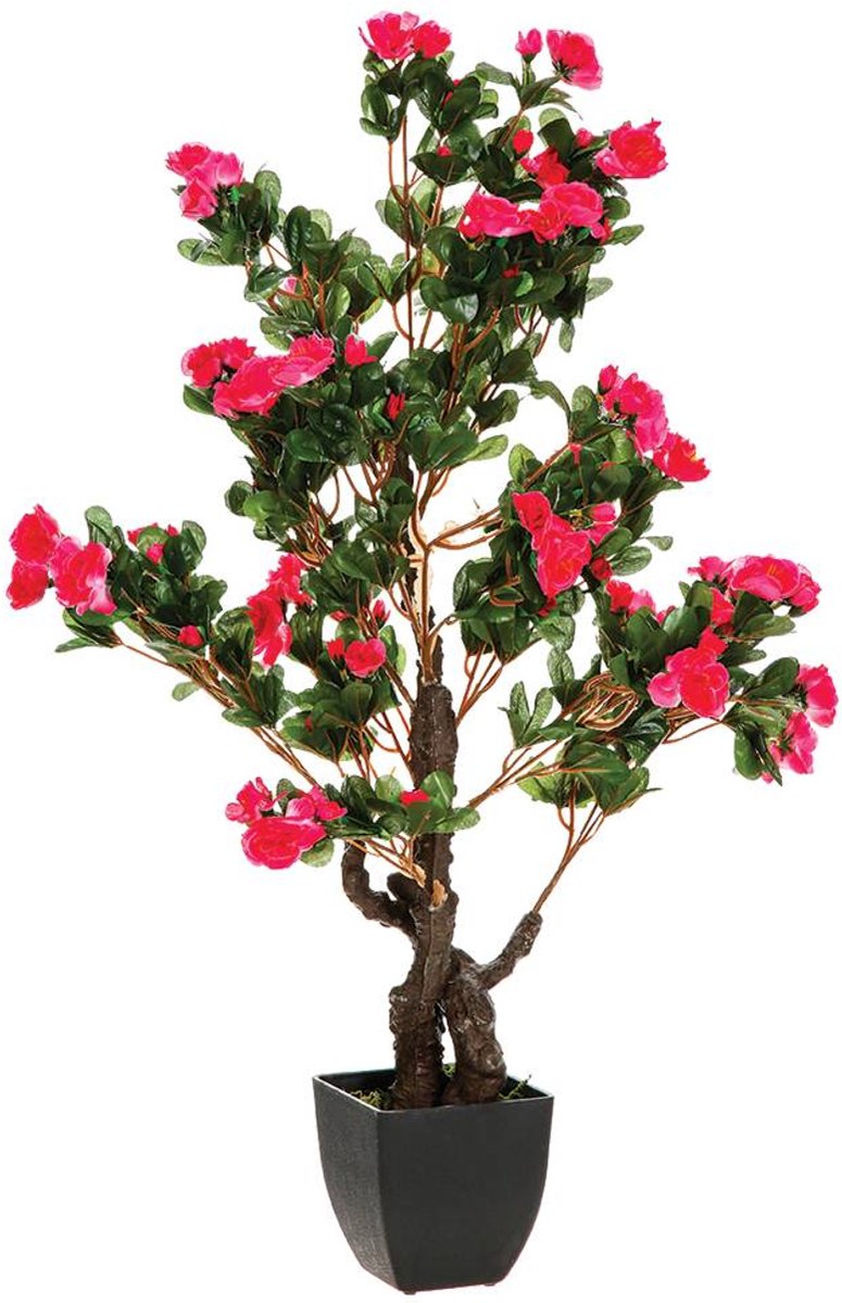 Kunstmatige azalea