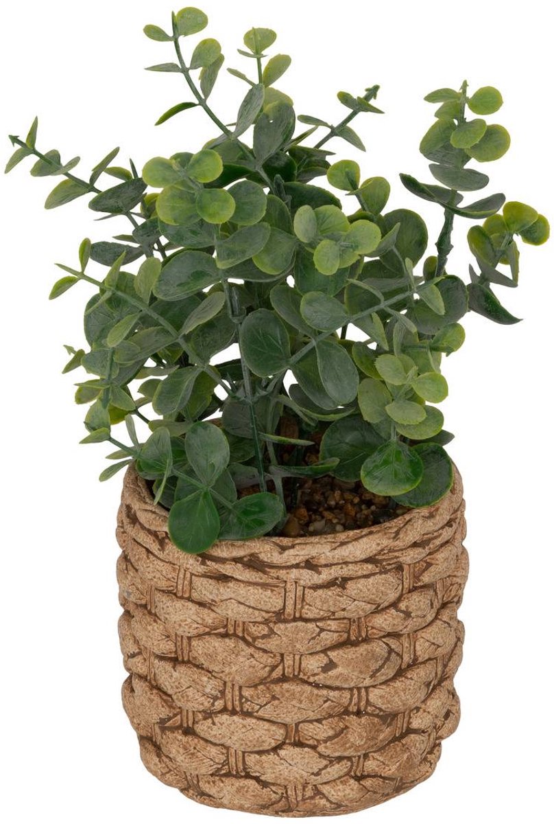 Kunst-eucalyptus JAYE