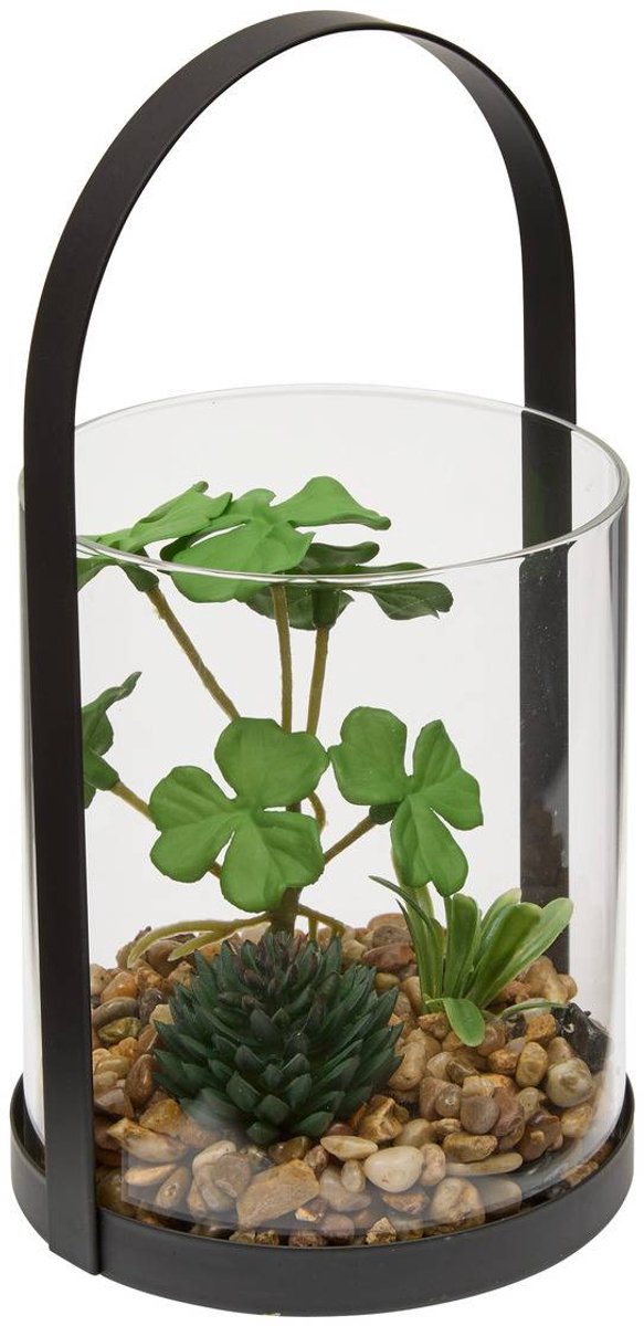 Terrarium WILO