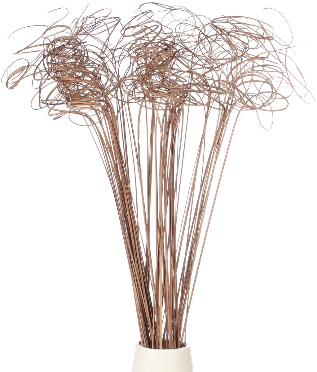 Omgoods - Set van 60 Drogen Wilgen Takken voor Decoratie