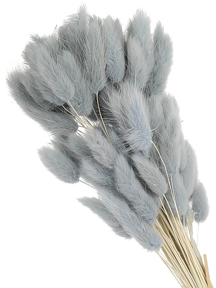 Omgoods - 80 Stuks Gedroogde Pampas Grassen voor Boho Decoratie