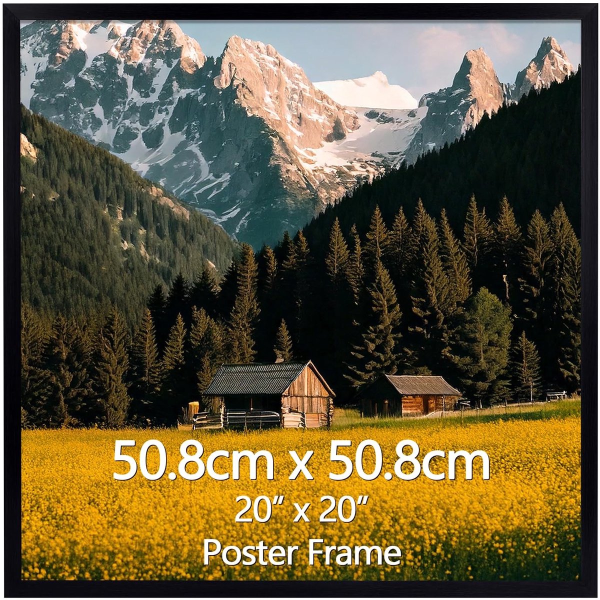 Omgoods - Zwarte Fotolijst 50 x 50 cm - Met Passe-Partout voor Muur