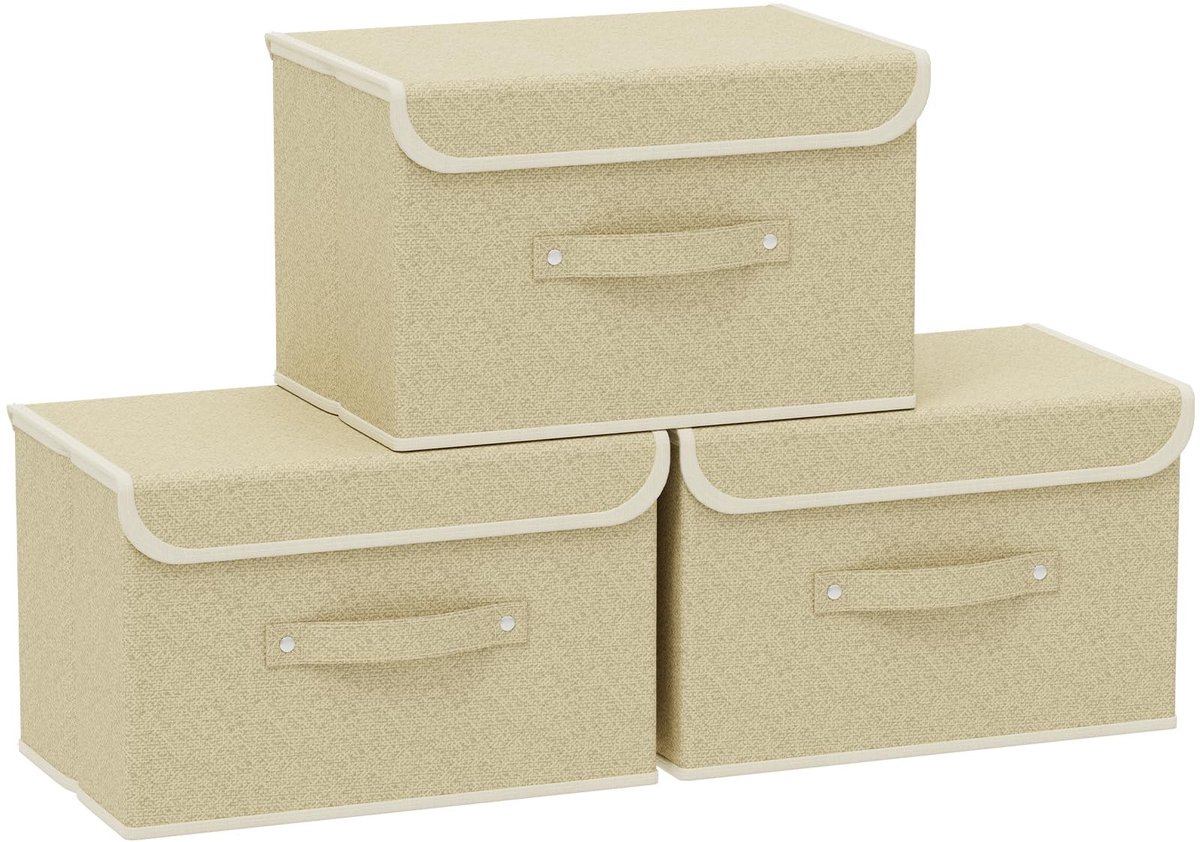 Omgoods - Set van 3 Opbergdozen met Deksel voor Organiseren