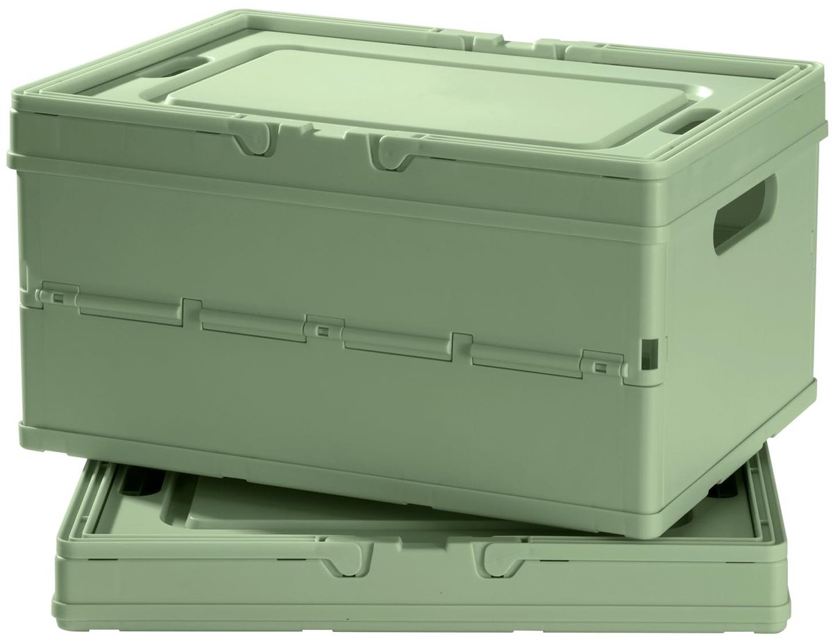 Omgoods - Opbergdozen met Deksel en Handvat, Set van 2, Plastic