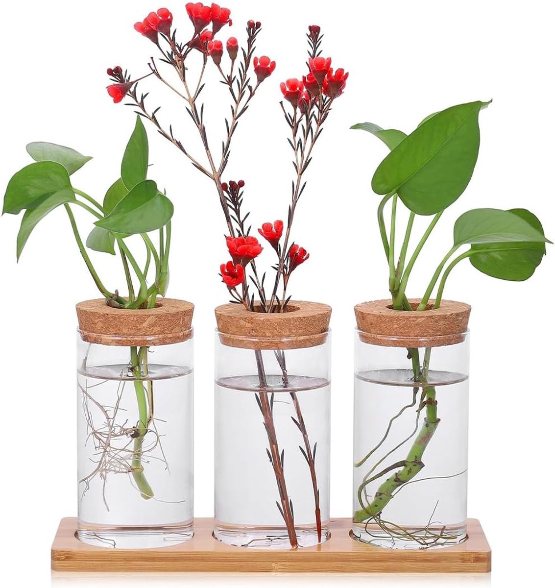 SnelShoppen - Propagation Station Glazen Vaas voor Hydrocultuur Planten - Set van 3 Vazen - Decoratieve Bloempot voor Thuis en Tafel - Ideaal voor Pla