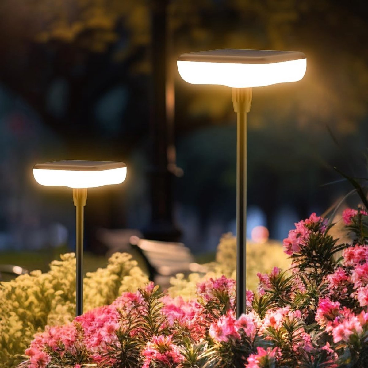 Omgoods - Set van 2 Zonne-lichtjes voor Tuinpad met Automatische Inschakeling