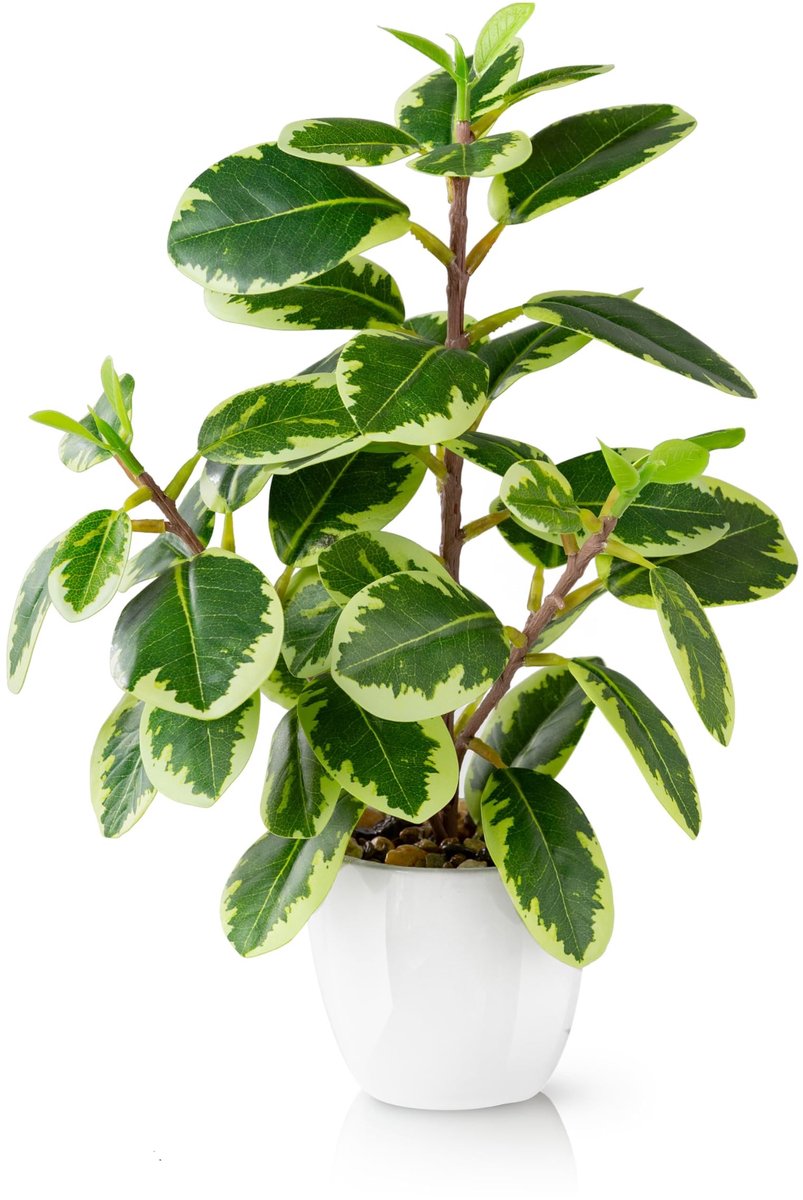 Omgoods - Kunstplant Camelia in Witte Keramische Pot van 29 cm