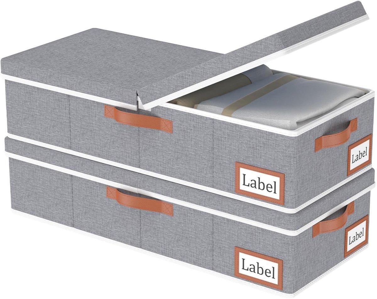 Omgoods - Set van 2 Onderbed Opbergdozen voor Kleding en Dekens met Deksel