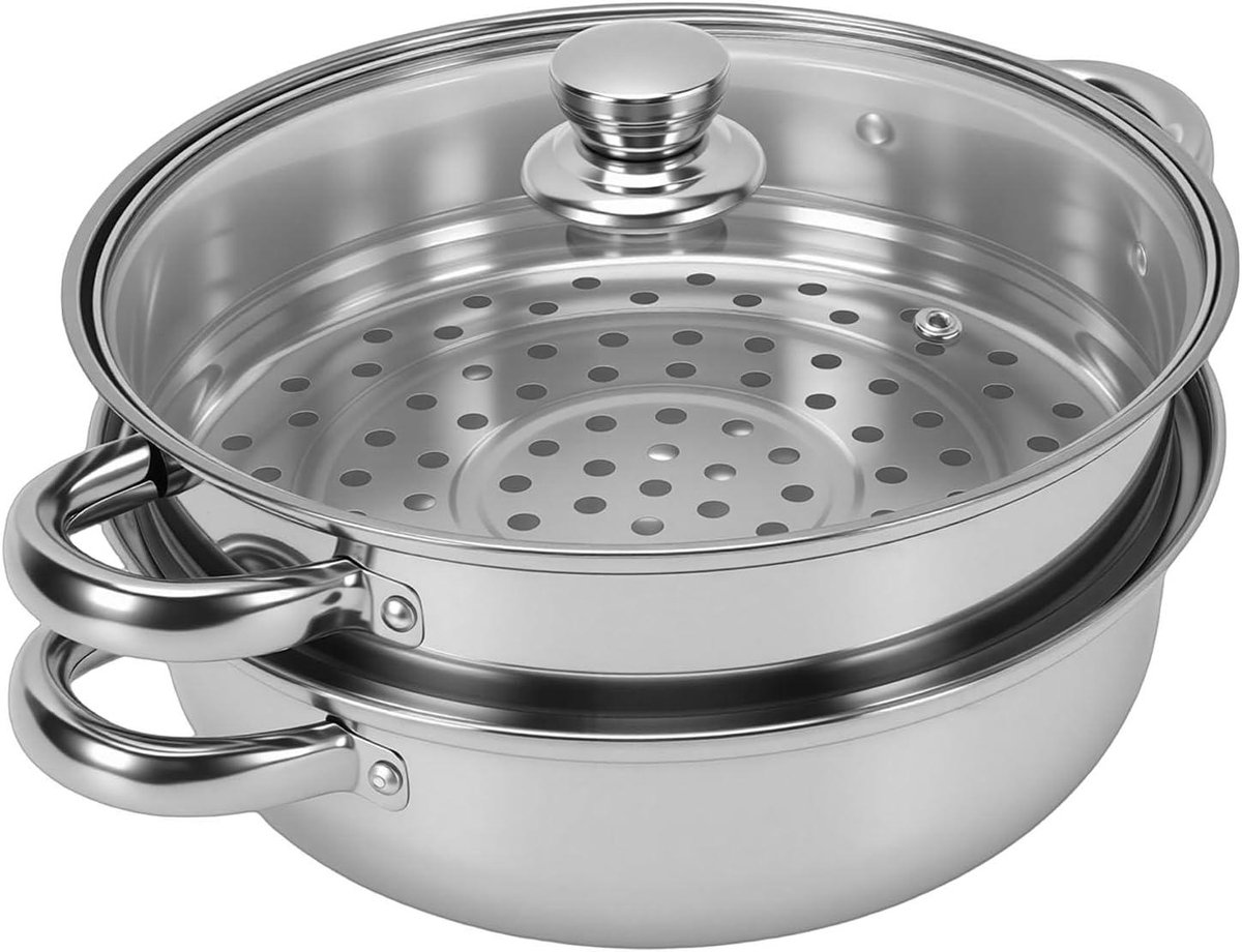 Roestvrijstalen Stoompot - Stoompan met Deksel - Gezond Koken - Energie-efficiënte Verwarming - 27.5 x 18.5 cm - Zilver