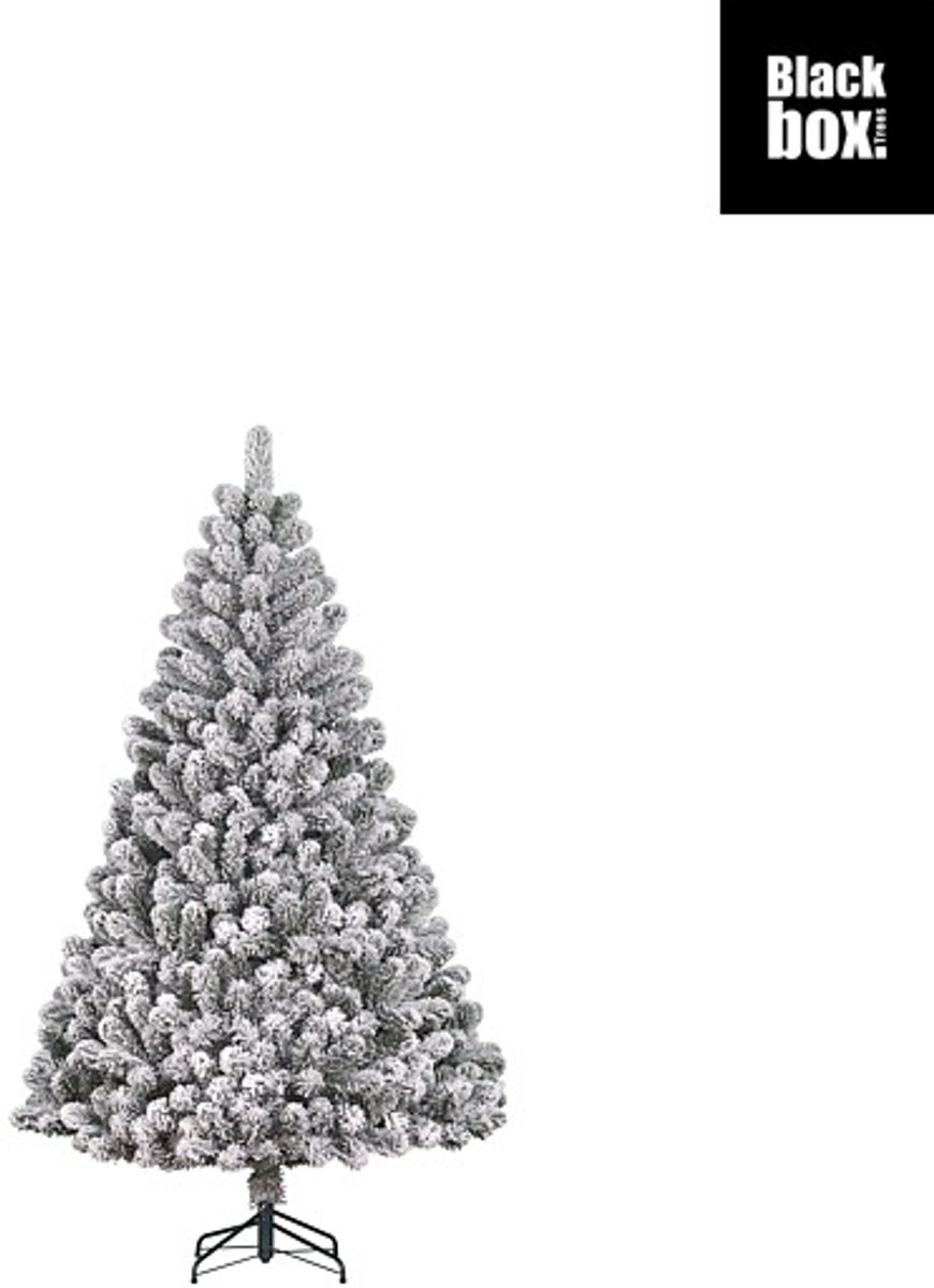 Black Box Trees Charlton Kunst Kerstboom met Sneeuw - Kunstkerstboom H155 x D91 cm - Groen Frosted