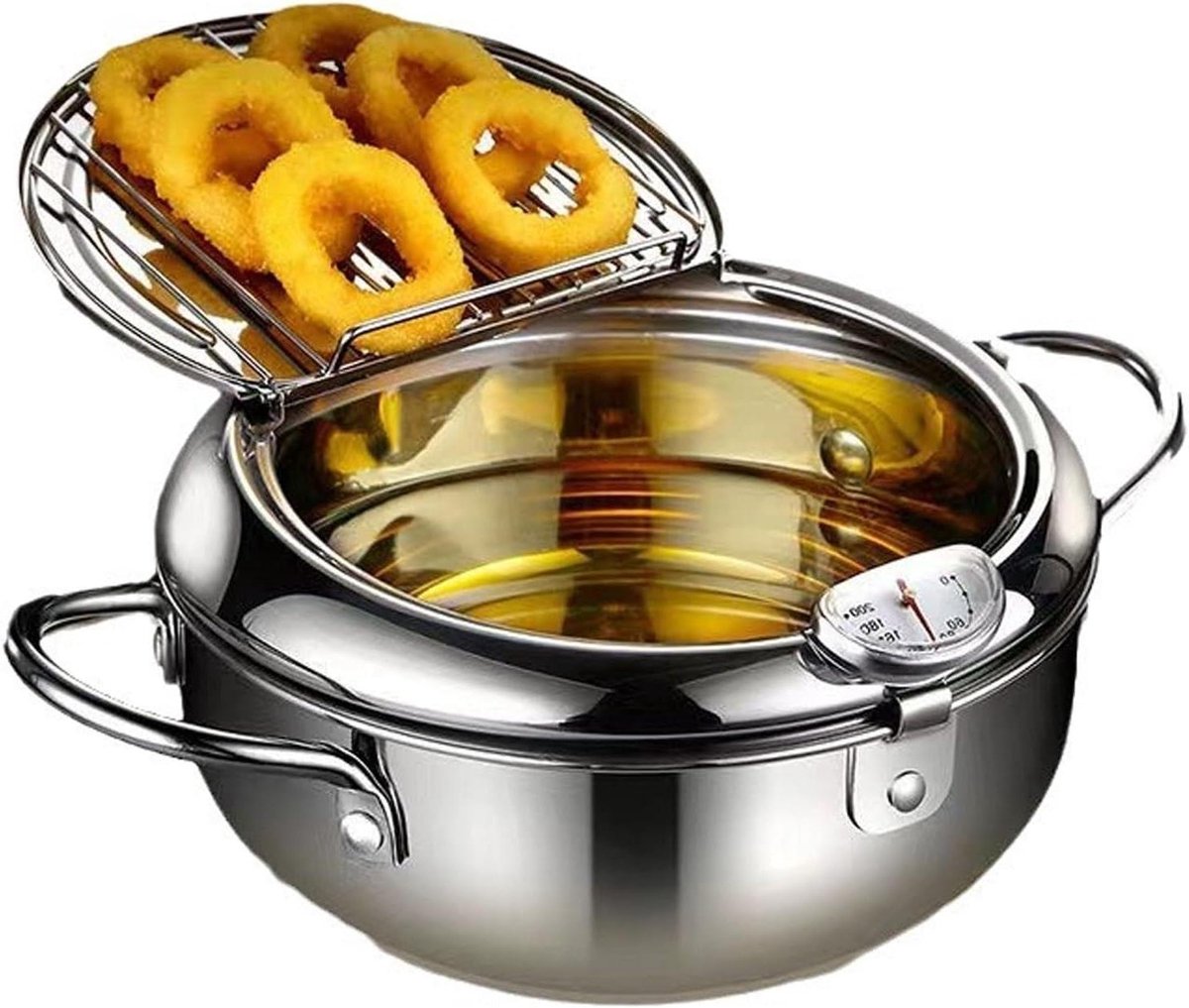 Roestvrijstalen Frituurpan - Tempura Pan Friteuse - Thuis Frituren - Met Deksel Thermometer - 27x27x13 cm - Zilver